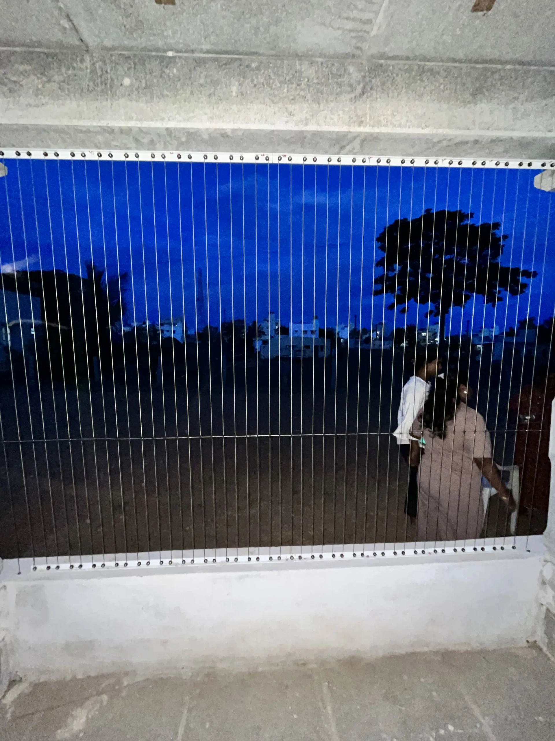 Anti-Bird Nets